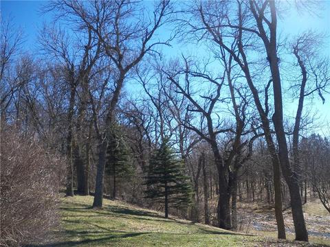 14308 County 8, Spring Valley, MN 55975 photo 4