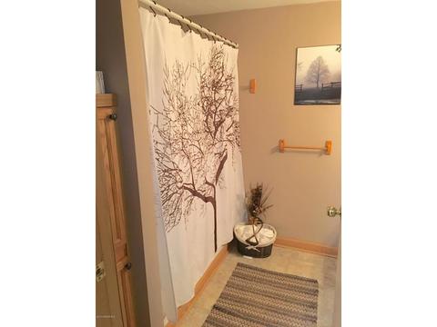 915 Abbott St, Albert Lea, MN 56007 photo 11
