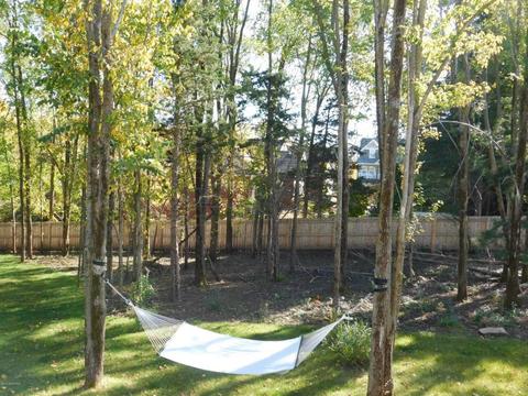 750 Cedar Point Ln SE, Oronoco, MN 55960 photo 4