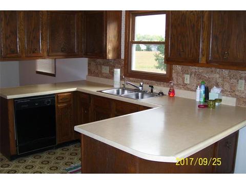 523 Parsons Ave, Spring Valley, MN 55975 photo 8