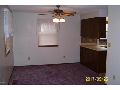 523 Parsons Ave, Spring Valley, MN 55975 photo 11