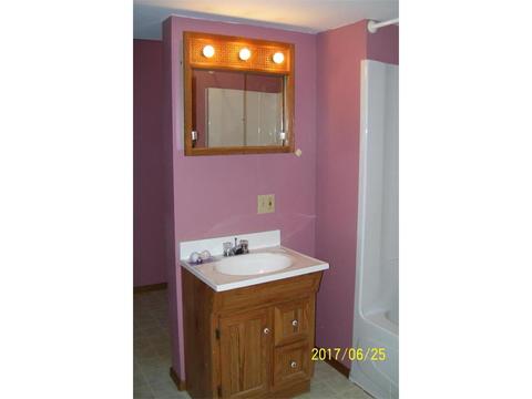 523 Parsons Ave, Spring Valley, MN 55975 photo 33