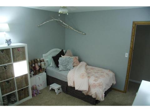 401 E Hawthorne St, Albert Lea, MN 56007 photo 39