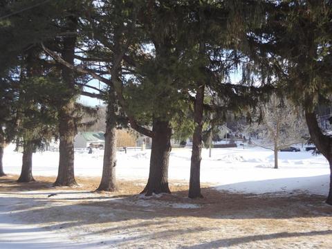 140 1st Ave NE, Oronoco, MN 55960 photo 27