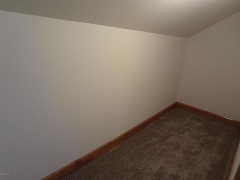140 1st Ave NE, Oronoco, MN 55960 photo 15