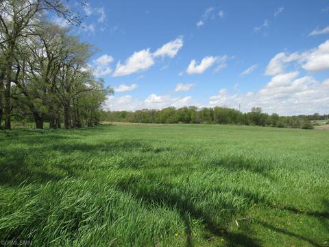 32420 Garden Rd, Harmony, MN 55939 photo 35