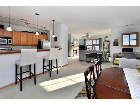 4100 Spring St #310, Spring Park, MN 55384 photo 5