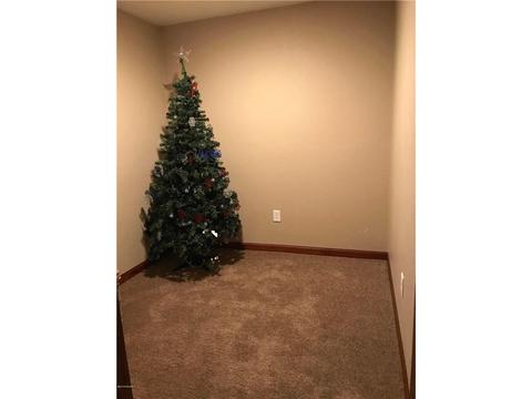 202 E Thomas Ave, Marshall, MN 56258 photo 22