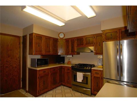 1313 Birch Ave W, Olivia, MN 56277 photo 7