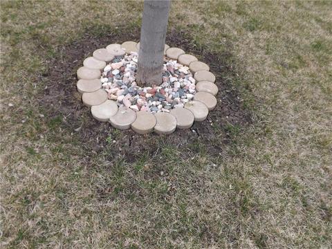 530 3rd St E, Madison, MN 56256 photo 42