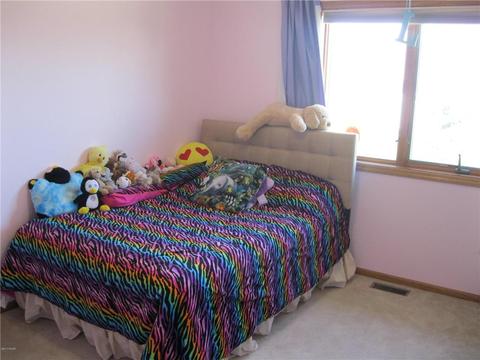 303 E Thomas Ave, Marshall, MN 56258 photo 10
