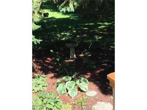 125 High Ave NE, Willmar, MN 56201 photo 20