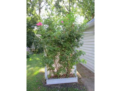 627 Ann St SE, Willmar, MN 56201 photo 10