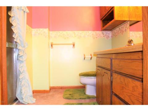 19835 Moser Ave, Reading, MN 56165 photo 16