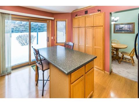 14023 Delta Ave, Rosemount, MN 55068 photo 22