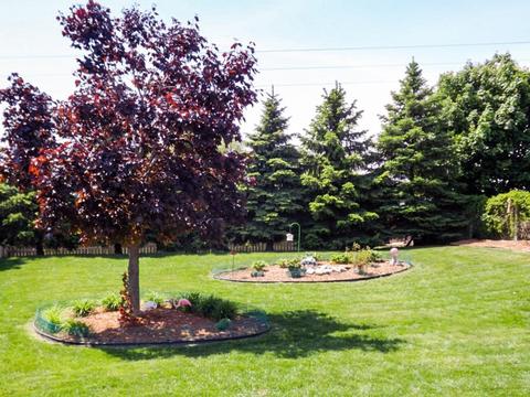 14023 Delta Ave, Rosemount, MN 55068 photo 7