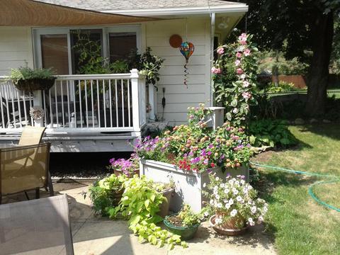 811 5th St E, Northfield, MN 55057 photo 3