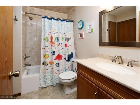 6225 114th Pl N, Champlin, MN 55316 photo 10
