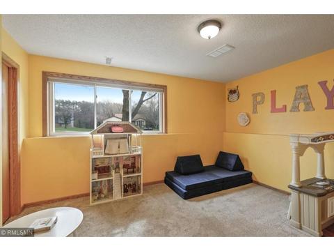3809 Mill Run Ct, Eagan, MN 55123 photo 28