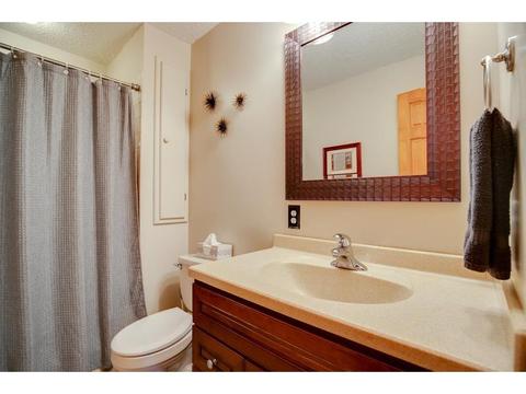 13451 Daffodil Path, Rosemount, MN 55068 photo 21