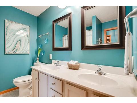13451 Daffodil Path, Rosemount, MN 55068 photo 12