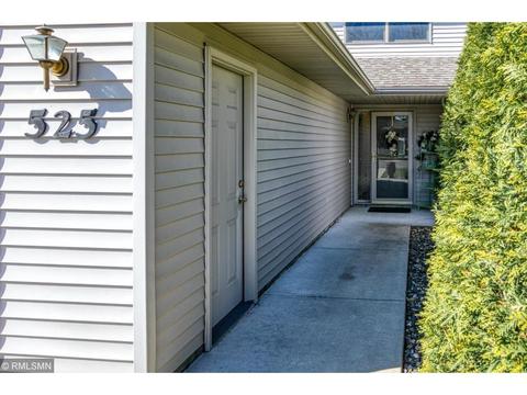525 W Riverview Dr, Waterville, MN 56096 photo 31