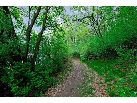 1627 Covington Ln, Eagan, MN 55122 photo 33