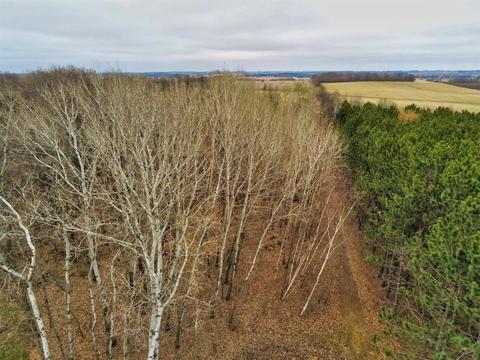945 193rd St, Baldwin, WI 54002 photo 44