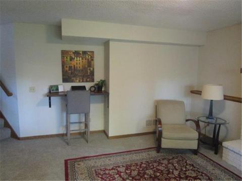 4389 Braddock Trl, Eagan, MN 55123 photo 15