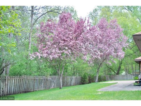 927 Forest Dr, Saint Cloud, MN 56303 photo 7