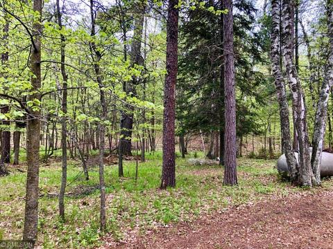 361 County 118 NW, Backus, MN 56435 photo 18