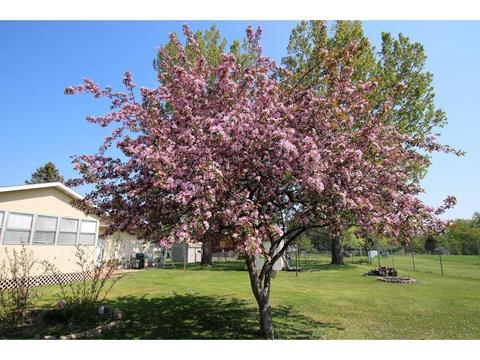 208 Park Rd, Staples, MN 56479 photo 23