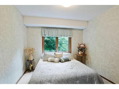 1415 Rebecca Ln, Eagan, MN 55122 photo 33