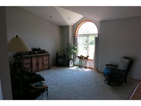 16995 175th St SE, Big Lake, MN 55309 photo 23