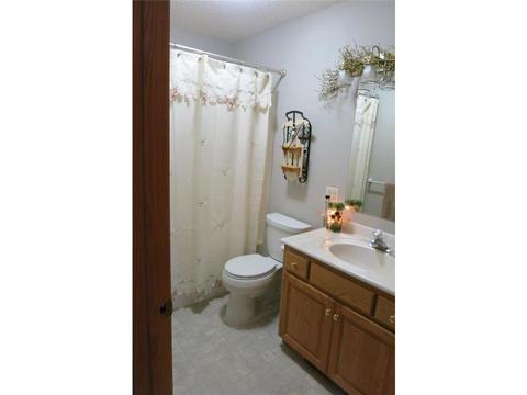 16995 175th St SE, Big Lake, MN 55309 photo 17