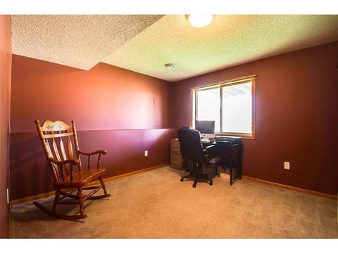238 Springwheat Dr, Dundas, MN 55019 photo 19