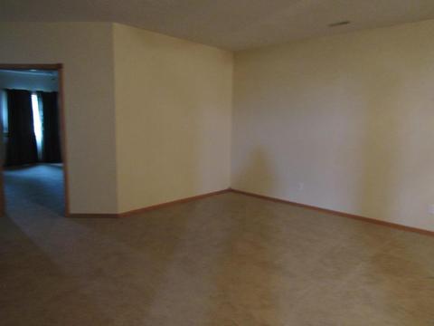 705 3rd Ave SE, Harmony, MN 55939 photo 40