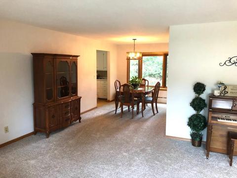 411 Gamble St, Springfield, MN 56087 photo 19