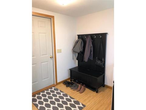 411 Gamble St, Springfield, MN 56087 photo 10