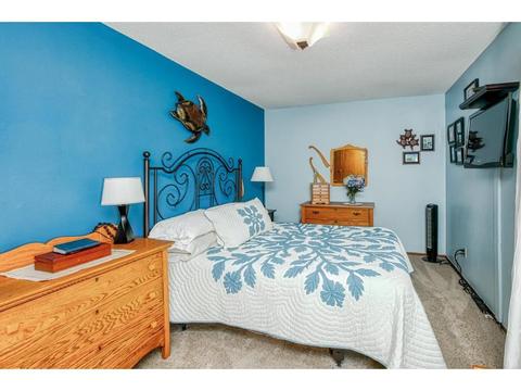 3864 Palisade Way, Eagan, MN 55122 photo 8