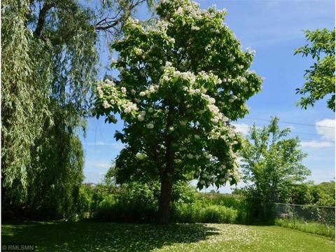 7246 Unity Ave, Centerville, MN 55038 photo 20