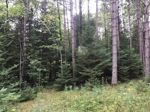 5606 Lester River Rd, Duluth, MN 55804 photo 27