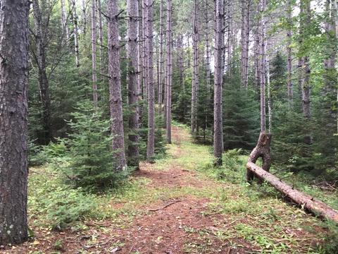 5606 Lester River Rd, Duluth, MN 55804 photo 28