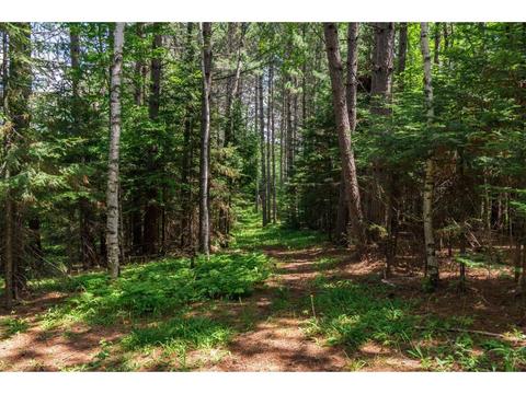 5606 Lester River Rd, Duluth, MN 55804 photo 22