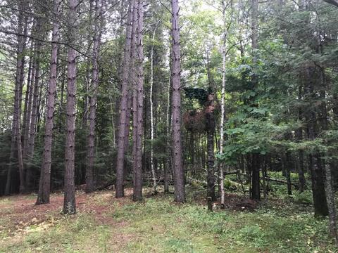 5606 Lester River Rd, Duluth, MN 55804 photo 26