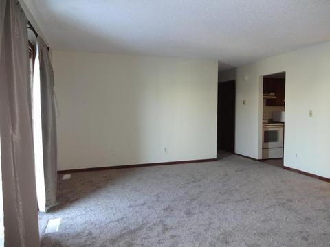 4503 Cinnamon Ridge Trl #A, Eagan, MN 55122 photo 4