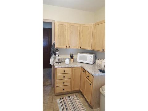 328 N Spring Ave, Springfield, MN 56087 photo 4