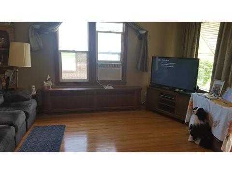 328 N Spring Ave, Springfield, MN 56087 photo 5
