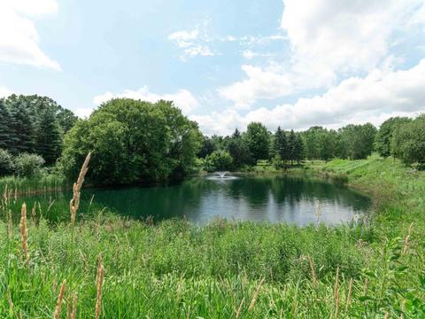 852 Ivy Ln, Eagan, MN 55123 photo 33