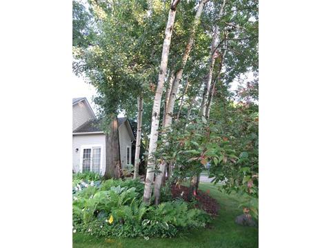 4666 Wildwood St, Eagan, MN 55122 photo 16
